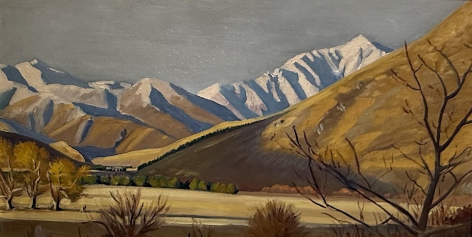 AA Deans |  From Dry Creek Homestead | McAtamney Gallery and Design Store | Geraldine NZ